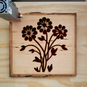 46371_wood-laser-1.jpg