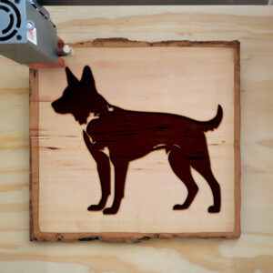46381_wood-laser-1.jpg