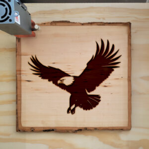 46387_wood-laser-1.jpg