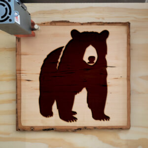 46399_wood-laser-1.jpg