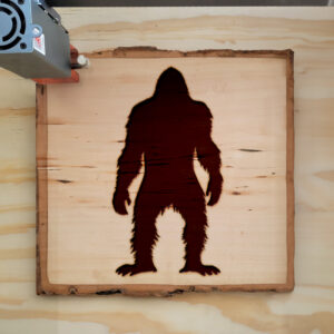 46401_wood-laser-1.jpg