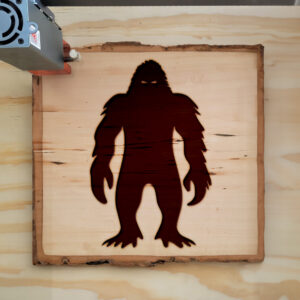 46403_wood-laser-1.jpg