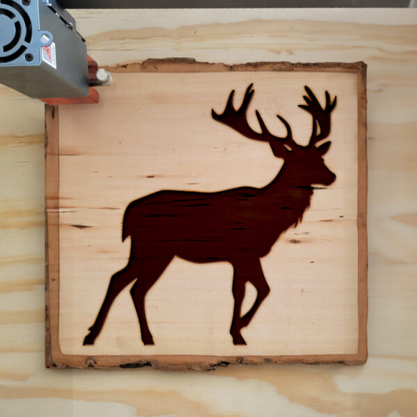 46435_wood-laser-1.jpg