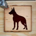 46437_wood-laser-1.jpg
