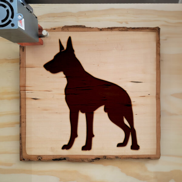 46437_wood-laser-1.jpg