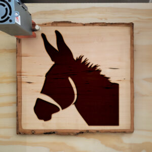 46443_wood-laser-1.jpg