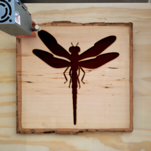 46451_wood-laser-1.jpg
