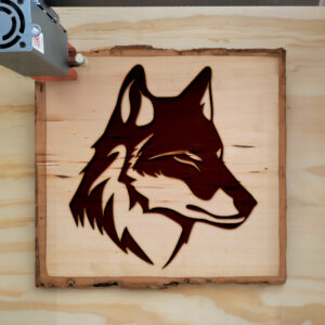 46477_wood-laser-1.jpg
