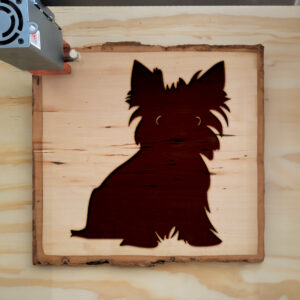 46486_wood-laser-1.jpg
