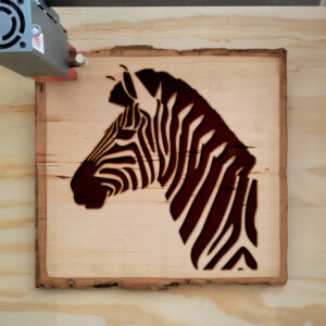 46494_wood-laser-1.jpg