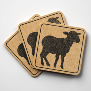 46498_coaster-1.jpg