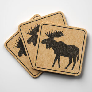 46548_coaster-1.jpg