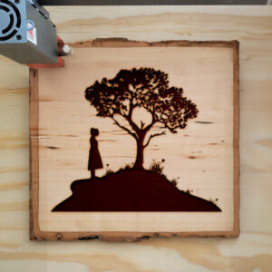 46607_wood-laser-1.jpg