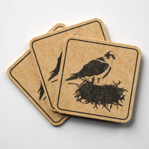 46612_coaster-1.jpg