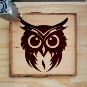 46630_wood-laser-1.jpg