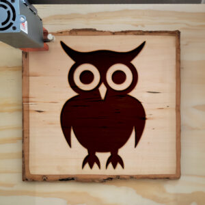46632_wood-laser-1.jpg