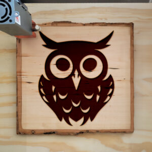 46634_wood-laser-1.jpg