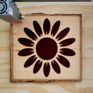 46691_wood-laser-1.jpg