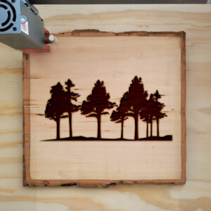 46695_wood-laser-1.jpg