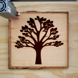 46697_wood-laser-1.jpg