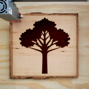 46703_wood-laser-1.jpg