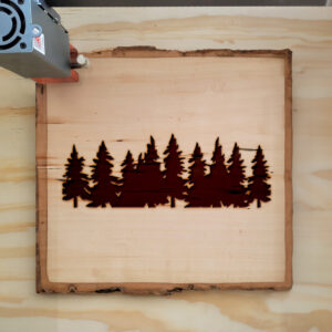 46705_wood-laser-1.jpg