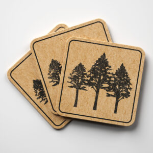 46713_coaster-1.jpg