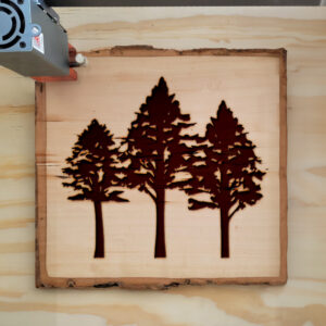 46713_wood-laser-1.jpg