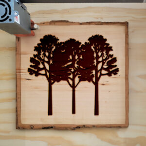 46715_wood-laser-1.jpg