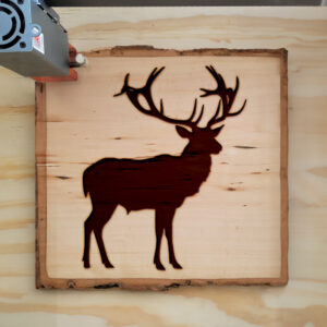 46763_wood-laser-1.jpg