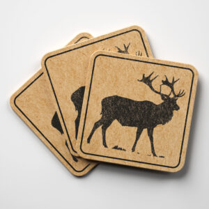46765_coaster-1.jpg
