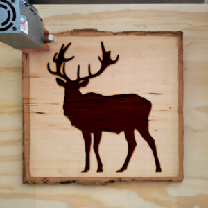 46769_wood-laser-1.jpg