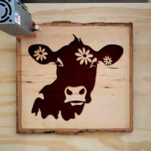 46810_wood-laser-1.jpg