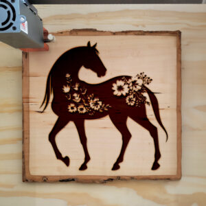 46812_wood-laser-1.jpg
