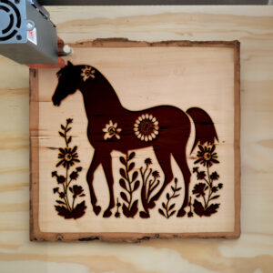 46816_wood-laser-1.jpg
