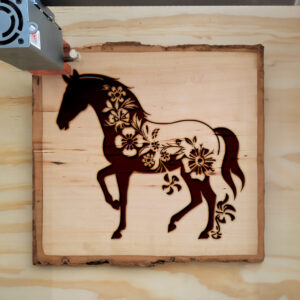 46818_wood-laser-1.jpg