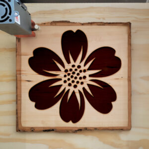 46822_wood-laser-1.jpg