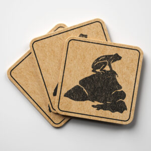 46832_coaster-1.jpg