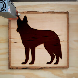 46840_wood-laser-1.jpg