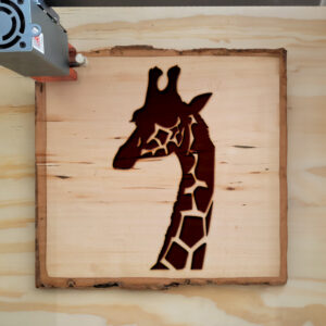 46844_wood-laser-1.jpg