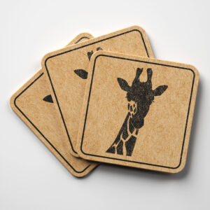 46846_coaster-1.jpg
