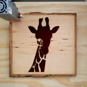 46846_wood-laser-1.jpg