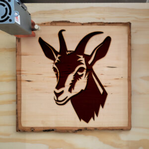 46852_wood-laser-1.jpg