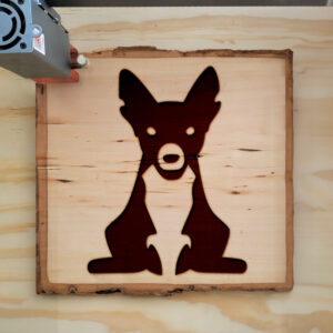 46862_wood-laser-1.jpg