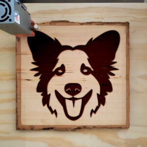 46864_wood-laser-1.jpg