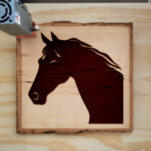 46896_wood-laser-1.jpg