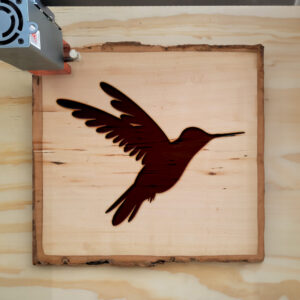 46904_wood-laser-1.jpg