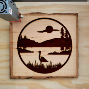 46950_wood-laser-1.jpg