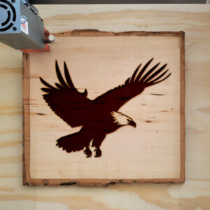 46988_wood-laser-1.jpg