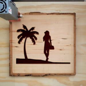 46992_wood-laser-1.jpg